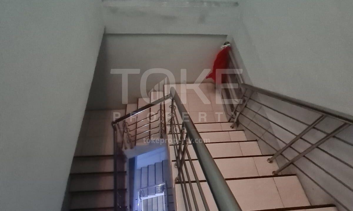 S_1036_LL-8