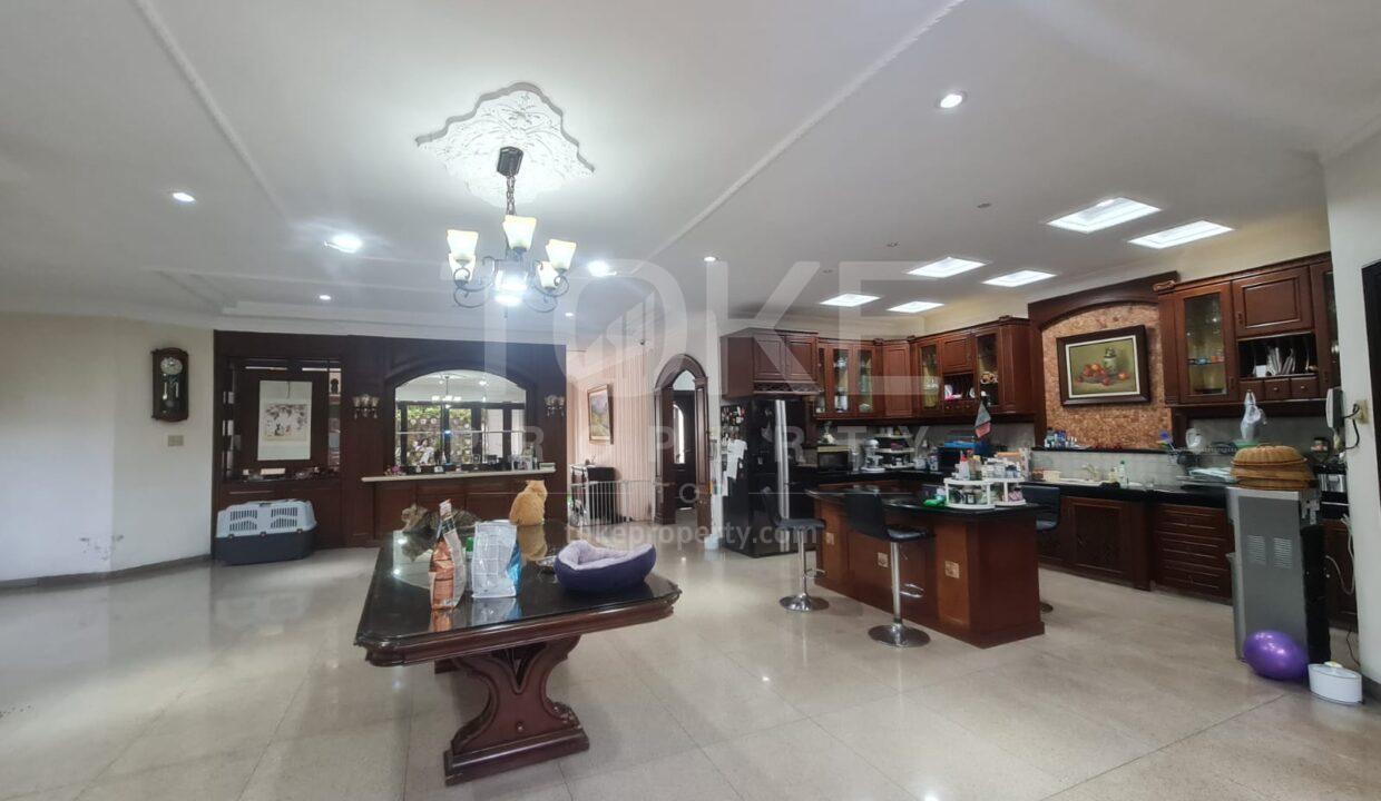 S_1142_NY-utama