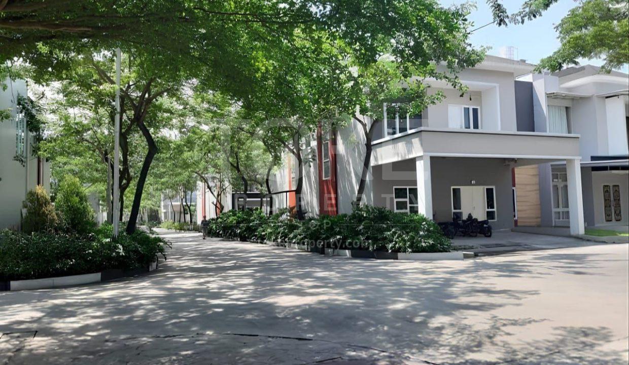 photo_2024-12-12_12-43-48