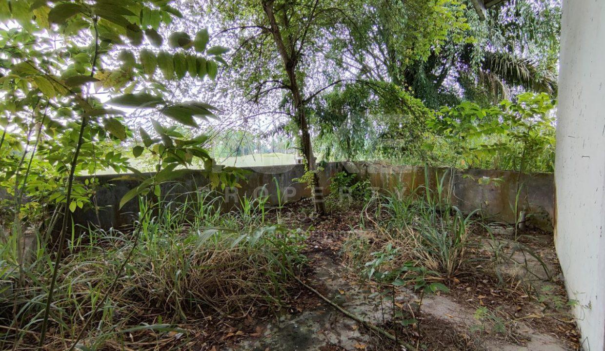 photo_2025-08-14_11-42-19