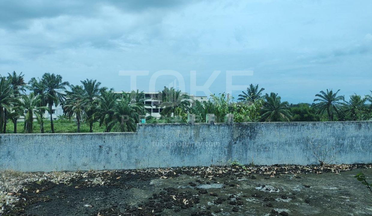 photo_2025-08-14_12-11-19