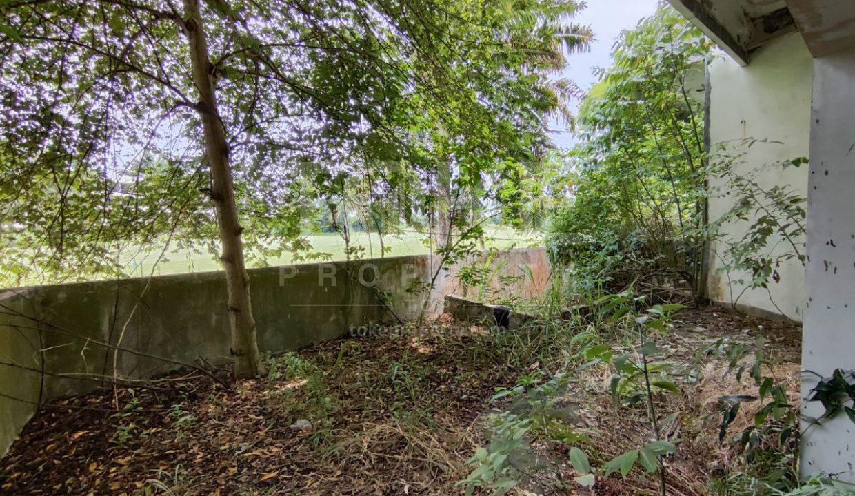 photo_2025-08-14_12-11-37